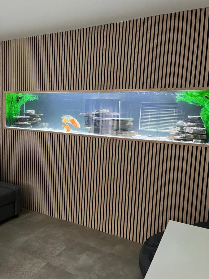 Terfyn Hall Aquarium Apartment 1 Prestatyn Exterior photo